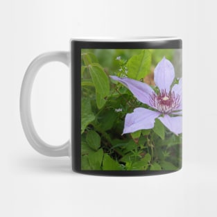 Lavender Flower 1 Mug